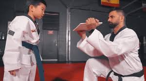 Image result for New Milton Taekwondo Club