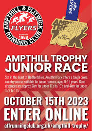 Image result for Ampthill and Flitwick Flyers