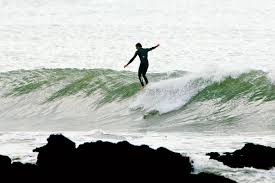 Image result for Croyde Surf Club
