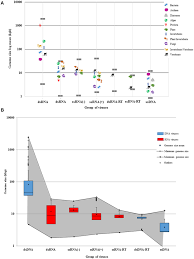 Image result for genome sizes