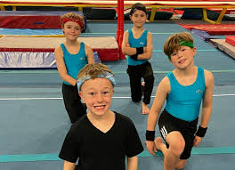 Image result for City Of Hull Olympic Gymnastics Club