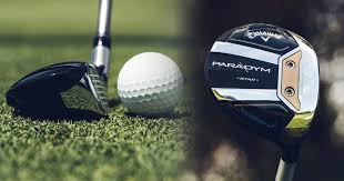 Image result for Callaway Badminton Club