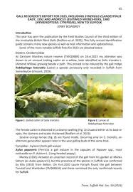 Attēlu rezultāti vaicājumam “Rabdophaga heterobia”