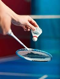 Image result for Bourne Badminton Club