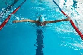Image result for 1066 Swimmers