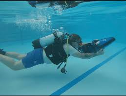 Image result for Looe Diving Club
