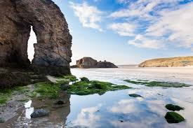 Image result for Tri-Cornwall