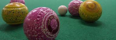 Image result for Wormelow Indoor Bowls Club