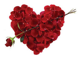 قلوب وورود ودباديب لـ عيد الحب... Images?q=tbn:ANd9GcQkhbVgTzpHgJuk_7tXopHUwNgaUr7SS5Q2-2UyTmKefesc4N2VvA