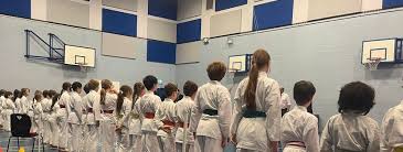 Image result for Mickleham Seiki Juku Karate Club