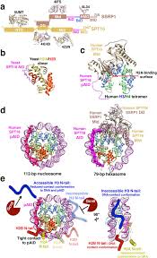 Image result for HTRPC