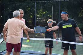 Image result for PICKLEBALL GORLESTON
