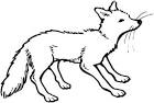 Fox coloring page