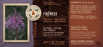 Attēlu rezultāti vaicājumam “Epilobium angustifolium fruit”