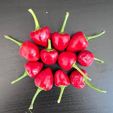 Afbeeldingsresultaat voor numex sandia hot pepper
