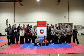 Image result for Shaolin Nam Pai Chuan Kung Fu - Manchester Martial Arts Centre