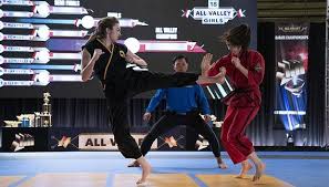 Image result for Carn Brea Karate Kai