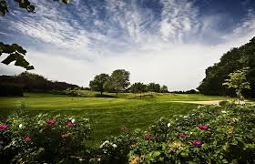 Image result for Wisley Sports & Social Club