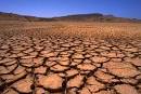 Surviving Drought in Your Landscape | Indiana Irrigation ... 