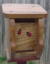 Image result for ladybug house