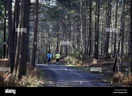 Image result for Bracknell Forest Runners