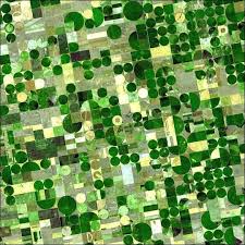 Image result for crop circles