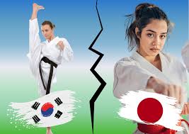Image result for COMBAT TAEKWONDO