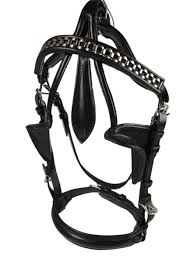 Image result for scheuklappen