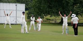 Image result for Cornwood Cricket Club