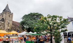 Image result for Midhurst Milers