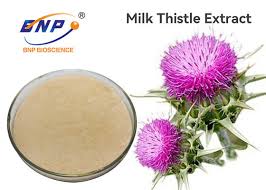 Attēlu rezultāti vaicājumam “Silybum marianum fruit”