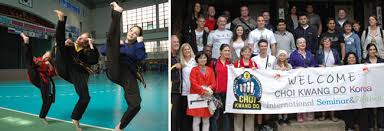 Image result for southern academy choi kwang do