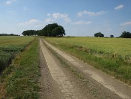 Image result for Cokenach Cc