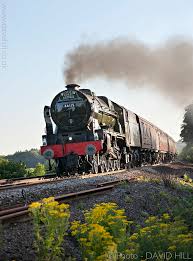 Image result for Basingstoke Sc