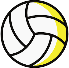 Image result for Icons Netball Club