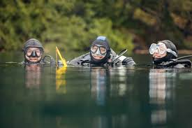 Image result for World Divers