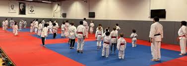 Image result for Sovereign Judo Club