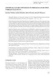 Attēlu rezultāti vaicājumam “Populus x lettland”