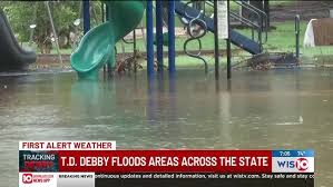 Image result for Deben Sc