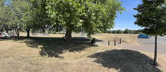 Image result for Reedham Park Sports Club