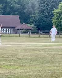 Image result for Lynchmere Cricket Club