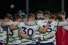 Image result for University Of Limerick Gaa Hurling Club