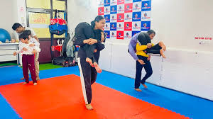 Image result for Scorpion Martial Arts Academy