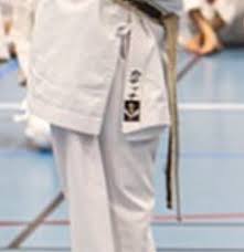 Image result for Karate Wado Kai