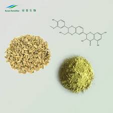 Attēlu rezultāti vaicājumam “Silybum marianum fruit”