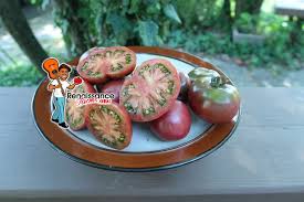 Afbeeldingsresultaat voor 1884 purple tomato