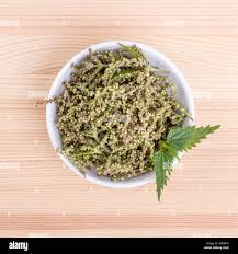 Attēlu rezultāti vaicājumam “Urtica dioica fruit”