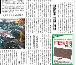 佐藤光展記者에 대한 이미지 검색결과