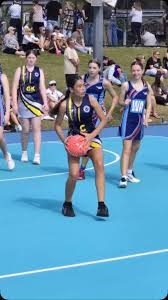 Image result for Hornets Netball Club