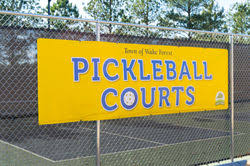 Image result for 1st New Forest Pickleball Club